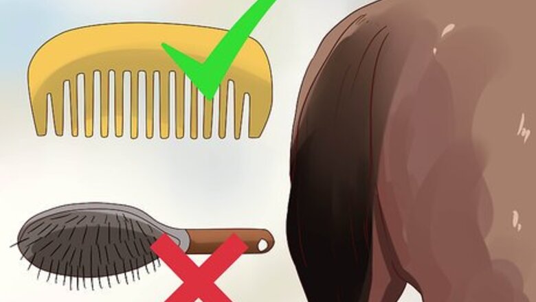 How to Apply a Horse Tail Bandage