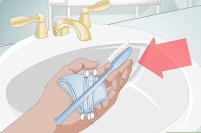 How to Wash a Pet Garden Snail's Shell