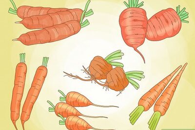 How to Grow Carrots