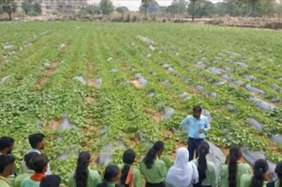 Want To Pursue A Career In Agriculture? Know Courses, Govt Jobs And Salary