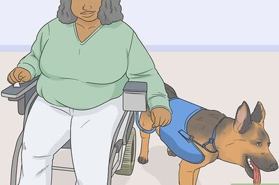 How to Identify a Service Dog