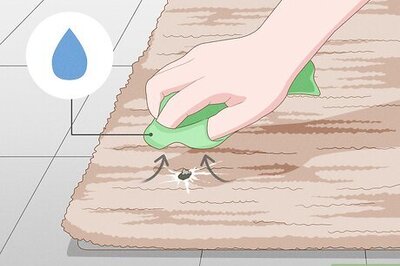 How to Clean Bird Droppings