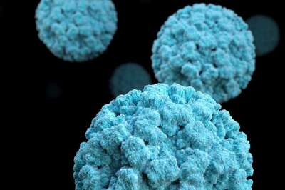 WHO-led Panel to Discuss Disease X amid Fears of Future Pandemics Deadlier Than Covid