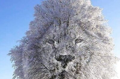 Frozen Tree Or Lion: What You See First Shows Your Approach Towards Relationships