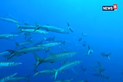 For First Time Since Trump's Rule, Climate Change Gets Mentioned in G20 Finance Document