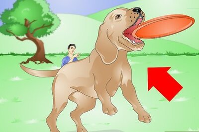 How to Train a Hyper Dog
