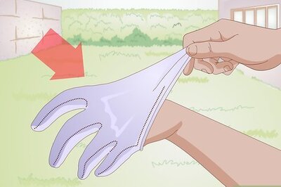 How to Feed Wild Baby Birds