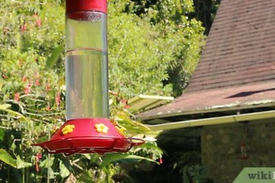 How to Photograph Hummingbirds