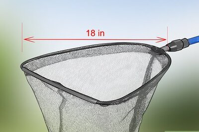 How to Catch Dragonflies