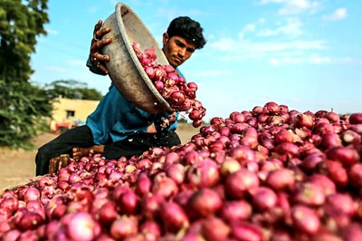 Onion Prices to Calm Down from November Onwards, Says Niti Aayog Member