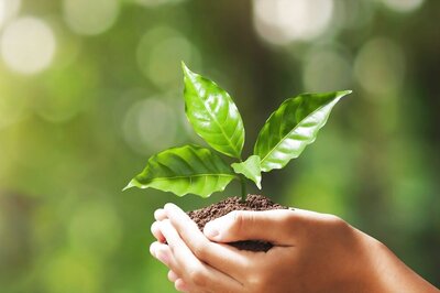 Career Wise: Want to Make an Impact on The Environment? These Jobs Are Just For You