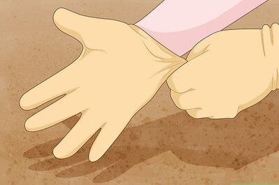 How to Remove Pups from an Agave Plant in a Pot or the Ground