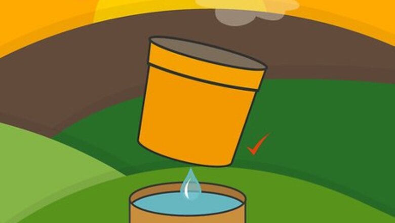How to Plant Bulbs in Pots