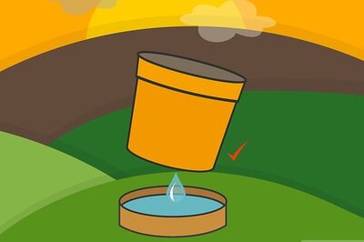 How to Plant Bulbs in Pots