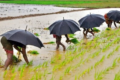 Classes With News18: Tracing the Green Revolution's Impact on Indian Agriculture