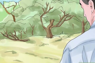 How to Catch Sand Crabs