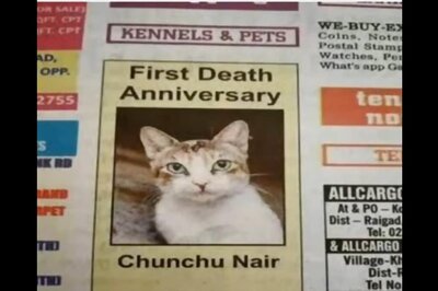 Chunchu Nair, The ‘Mystery’ Cat That Lives On With Viral Newspaper Clipping