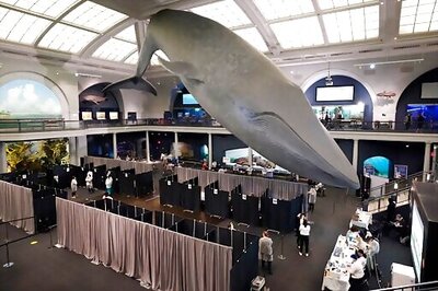 Whale Of A Time: NYC Offers Walk-up Vaccinations For All