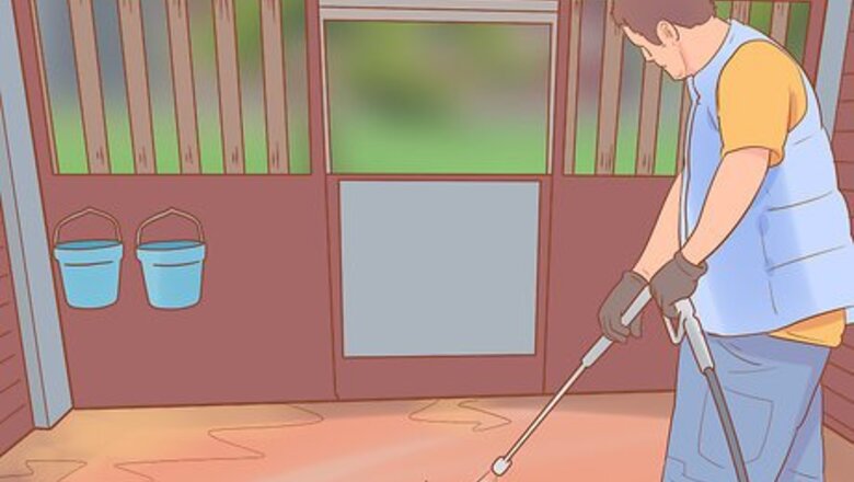 How to Settle a Horse Into New Surroundings