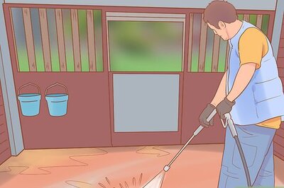 How to Settle a Horse Into New Surroundings