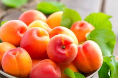 7 Benefits Of Adding Apricots To Your Diet