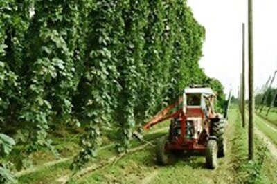 Agri-business loans up 49 pc: SBI