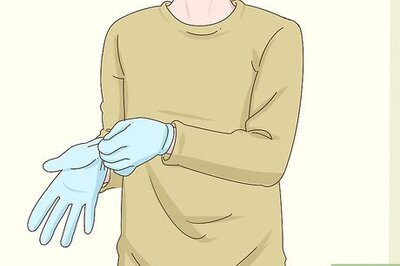 How to Stop Your Cockatiel from Biting