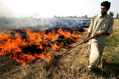 NGT Notice to Centre Over Delay in Releasing Funds to Check Stubble Burning