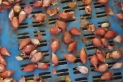 Coimbatore Witnesses Surge In Onion Prices Due To Reduced Supplies