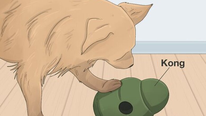 How to Keep Your Dog Happy