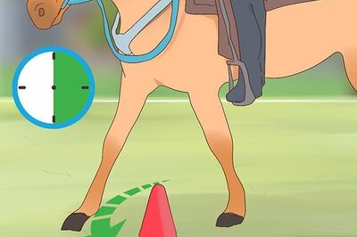 How to Turn a Horse