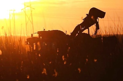 Agriculture department to solve farmers' query by SMS