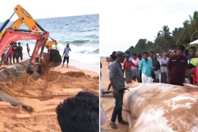 People Spot A Giant Whale On Kerala Beach; Internet Reacts