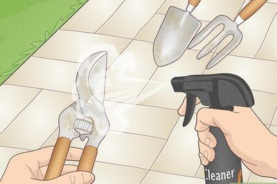 How to Clean Your Rusty Garden Tools