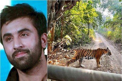 Shaheen Bhatt Gives Fans a Glimpse of Ranbir Kapoor’s Wildlife Photography Skills from Ranthambhore Safari