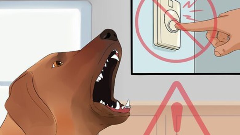 How to Deal With a Barking Dog