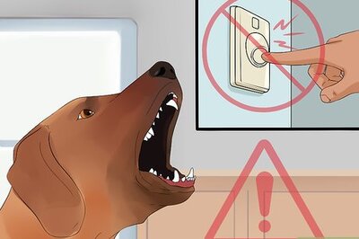 How to Deal With a Barking Dog