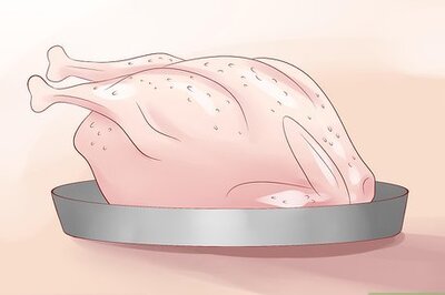 How to Know Which Thanksgiving Leftovers to Feed a Dog