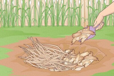 2 Simple Ways to Make Your Own Biochar at Home