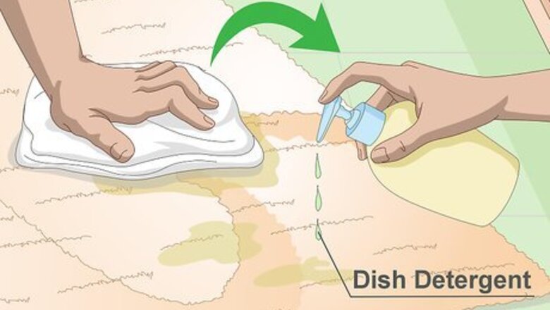 How to Get Dog Urine Out of Carpet