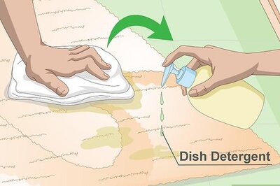 How to Get Dog Urine Out of Carpet