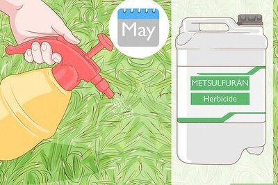 How to Kill Bahiagrass