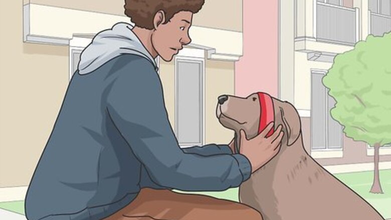 How to Walk a Dog
