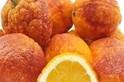 Meet The Bengal Man Who Cultivates A Rare Kind Of Lemons