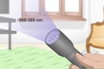 How to Find Cat Urine With a UV Light