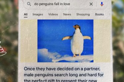 Google Shares Random 'Otterly Adorable' Animal Facts, Grabs Internet's Attention