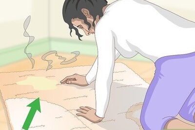 How to Clean Cat Urine