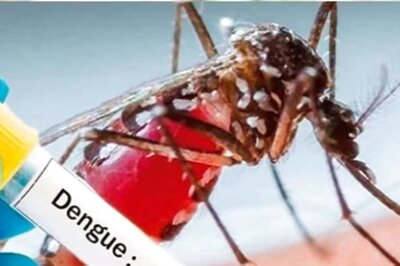 Can Home Remedies Like Goat’s Milk Or Aloe Vera Treat Dengue? Experts Decode