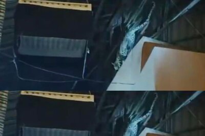 Leopard Enters Sets of a Marathi TV Show Days After Killing a Dog On Shoaib Ibrahim's Ajooni Sets