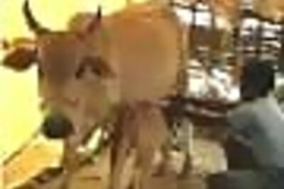 Drug developed by RSS body gets US patent